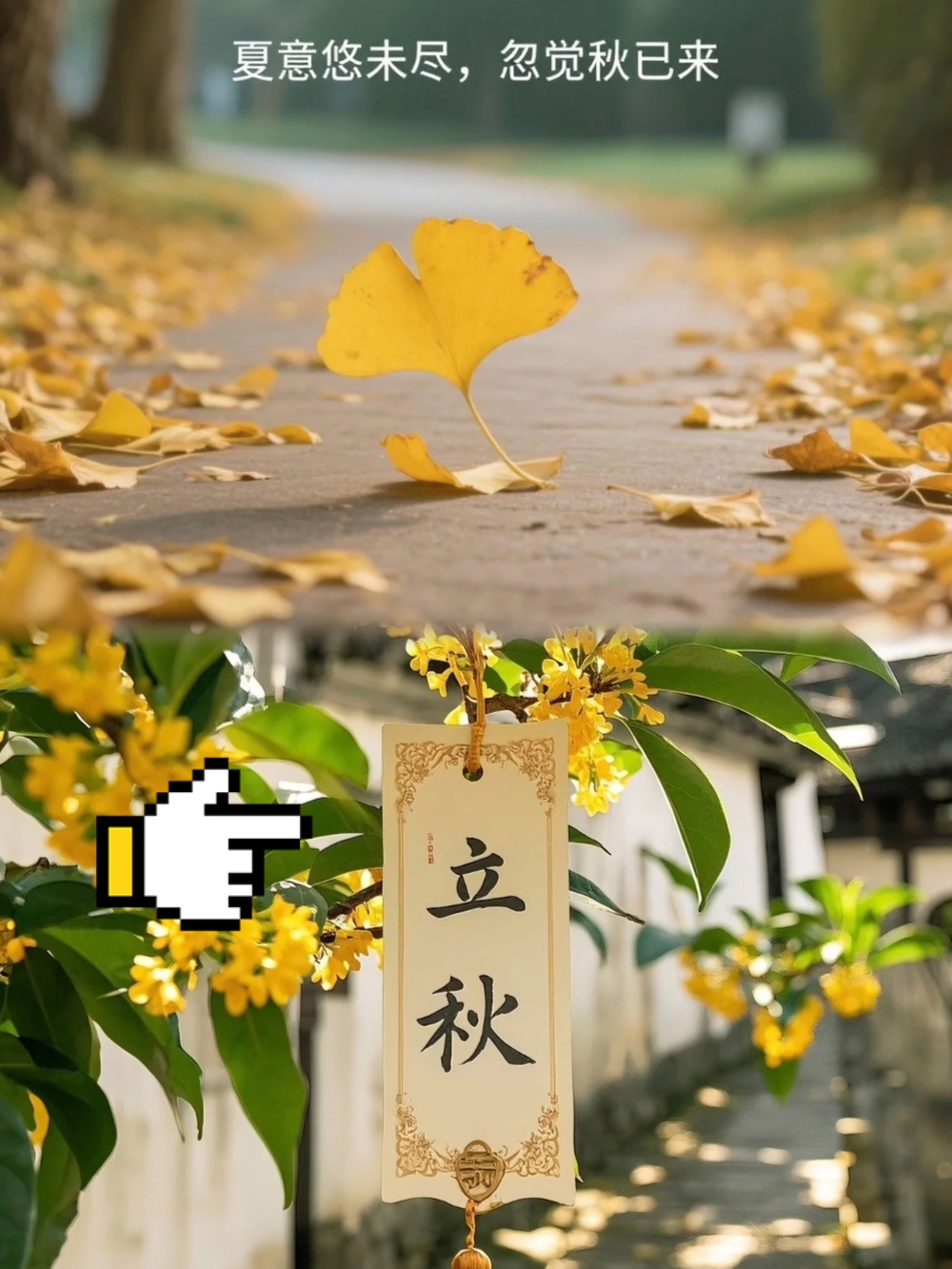 娱乐生活 第73页