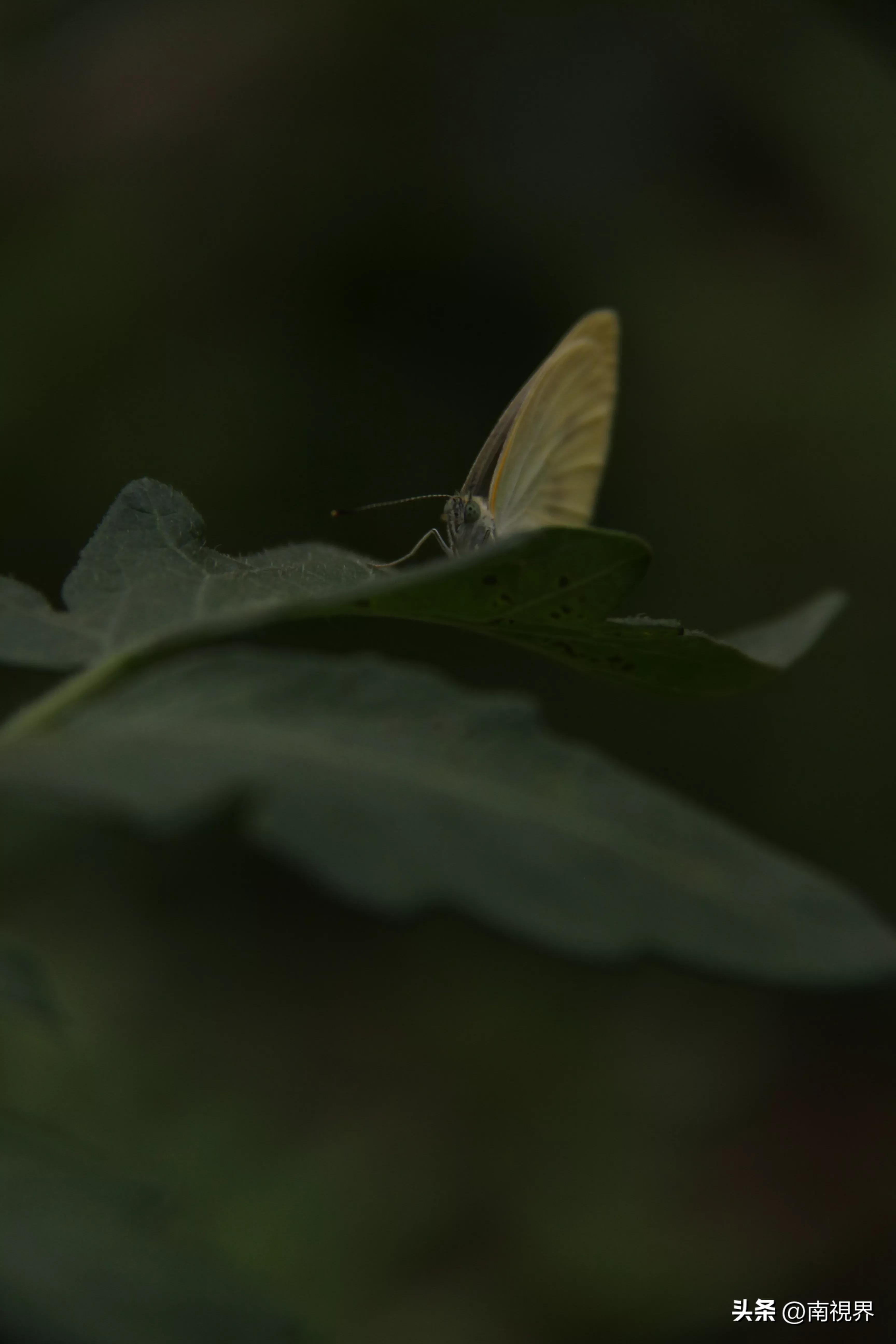 娱乐生活 第19页