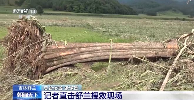 最新资讯 第6页